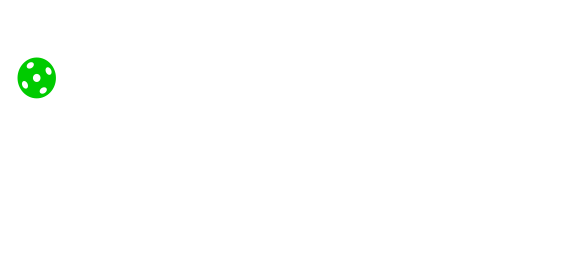 Dinx Pickleball